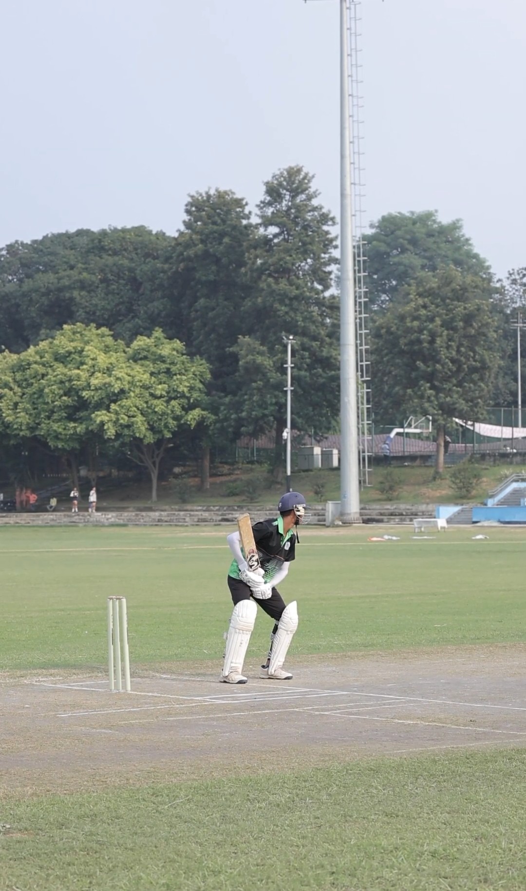 Cricket